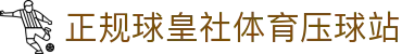 球皇社球队数据查询_阵容战绩、攻防效率与近期状态速查